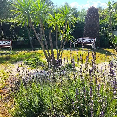 Sterlizia - 2 Steps From The Beach! - Holiday home
