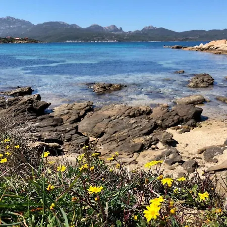 Sterlizia - 2 Steps From The Beach! - Σπίτι διακοπών