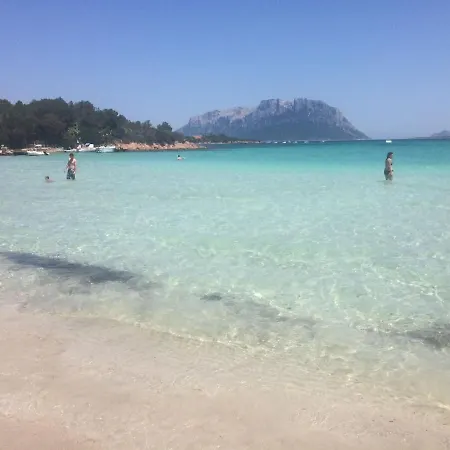 Sterlizia - 2 Steps From The Beach! - Όλμπια